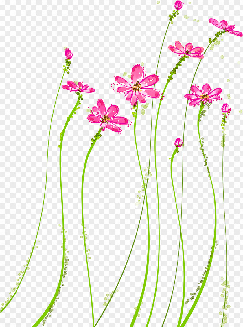 Flower Plant Pink Pedicel Stem PNG
