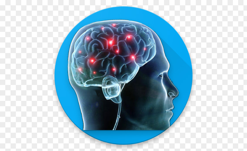 Intelligence Quotient Physiological Psychology Neuroscience Therapy PNG