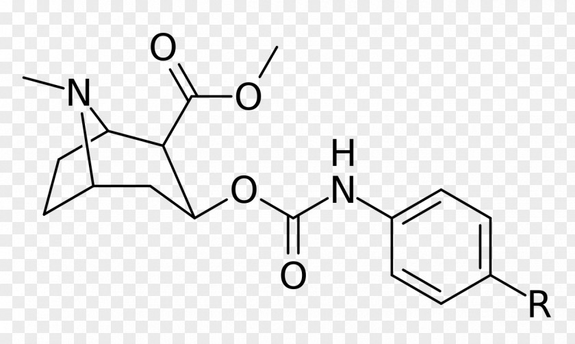 Cocain Chemistry Chemical Compound Structural Analog Alkaloid Dichloropane PNG