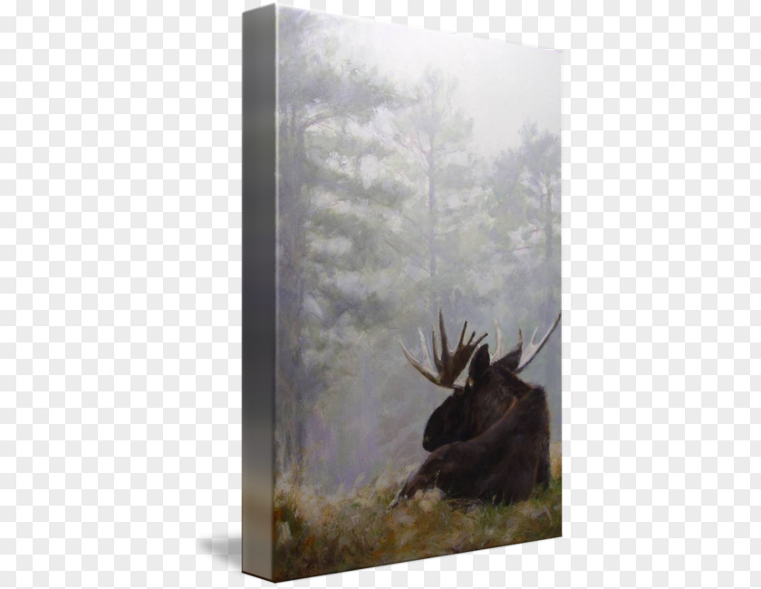 Foggy Forest Moose Antler Stock Photography Tundra PNG