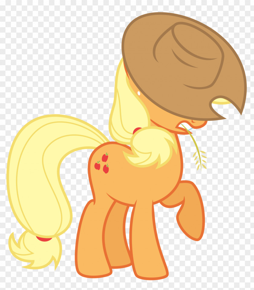 My Little Pony Applejack Twilight Sparkle Fluttershy Rarity PNG