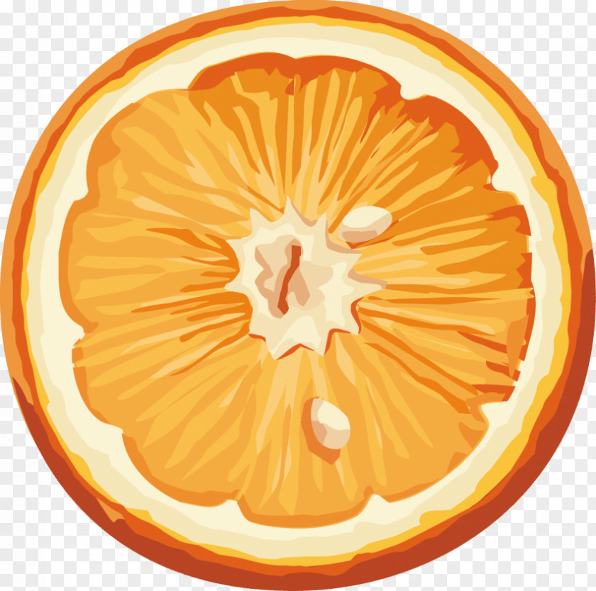 Orange Juice Citrus × Sinensis PNG