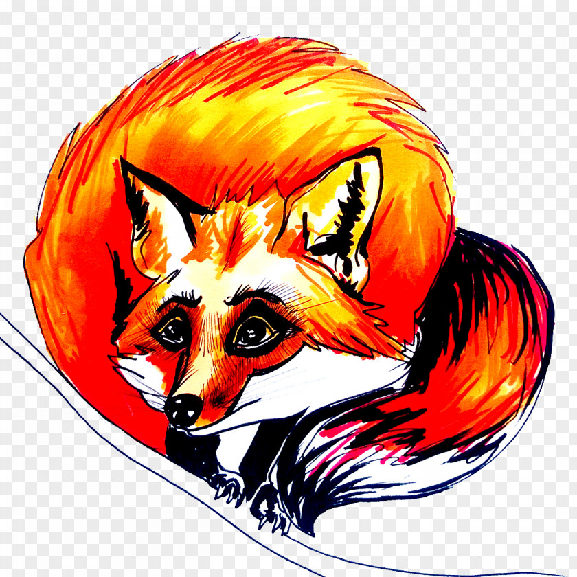 Painted Fox Red Illustration PNG