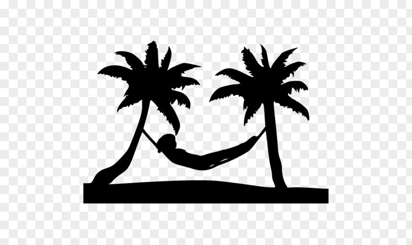Beach Silhouette Palm Trees Design Image Photography Date PNG