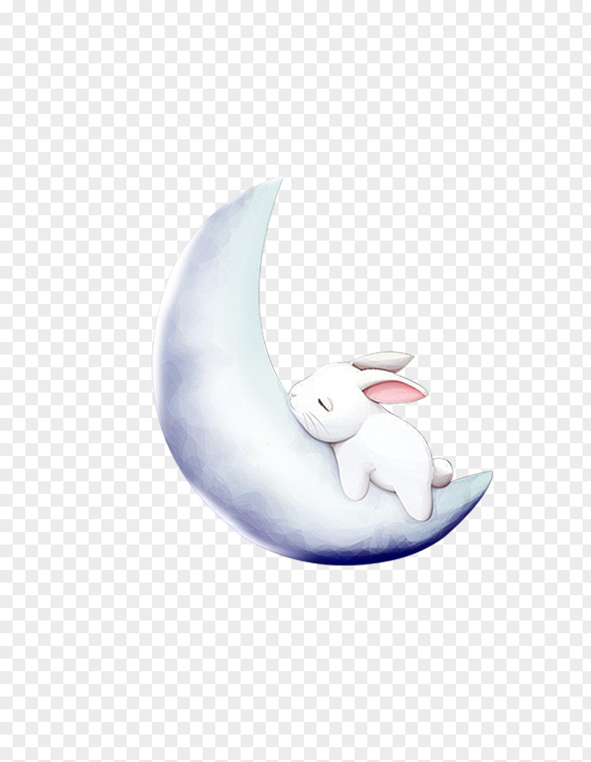 Bunny Sleeping On The Moon Leporids Rabbit PNG