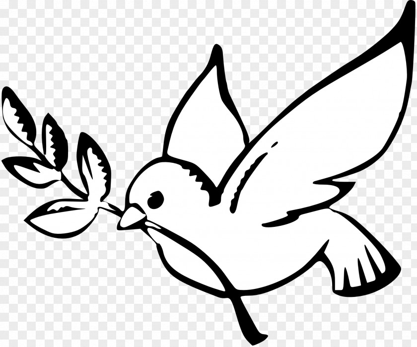 Dove Symbol Of Peace PNG Peace, white bird carrying leaves illustration clipart PNG