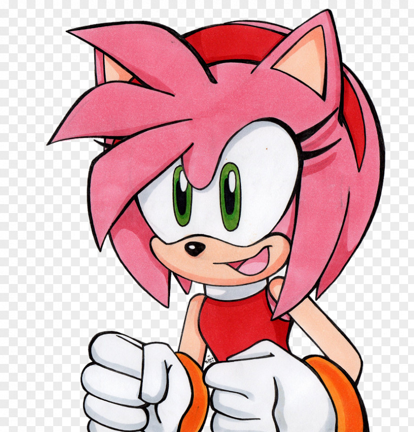 Sonic The Hedgehog Amy Rose Drawing Character PNG