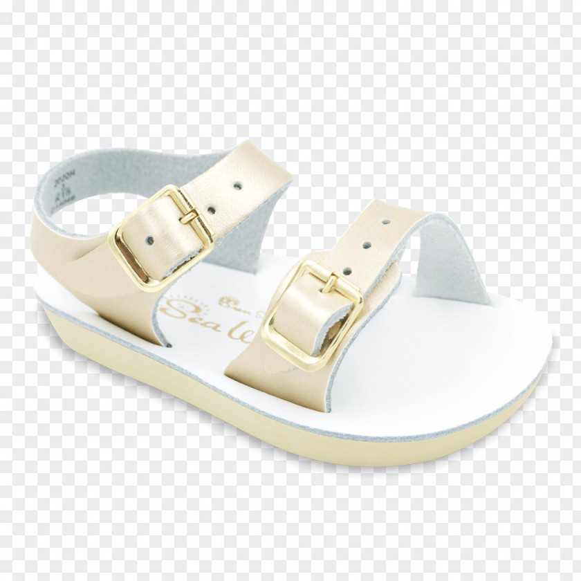 Sun And Sea Saltwater Sandals Shoe Size Footwear PNG