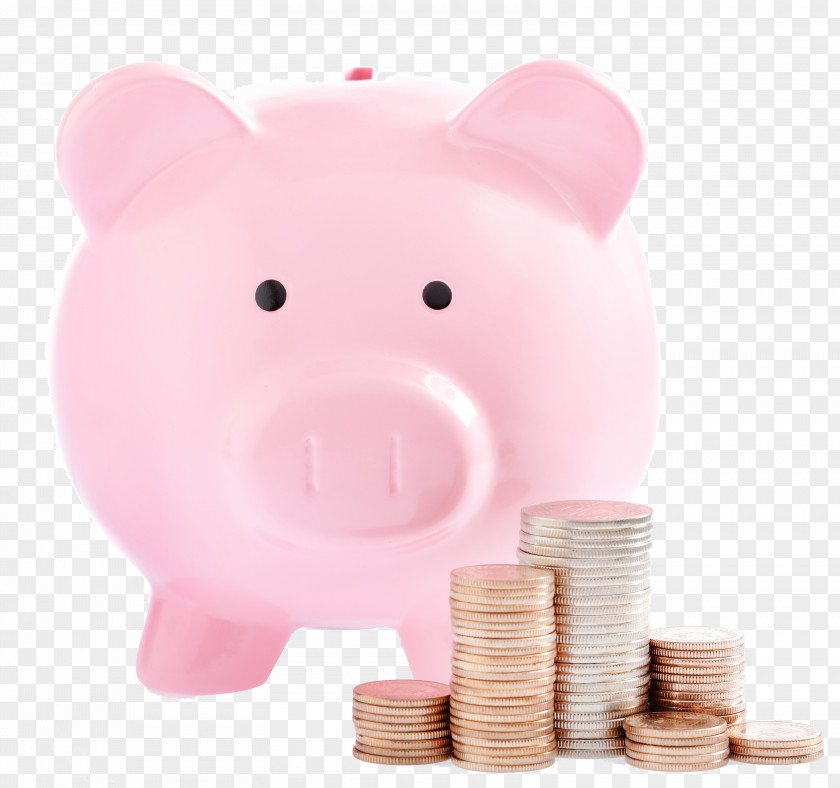 Sweet Piggy Bank Money Coin Saving PNG