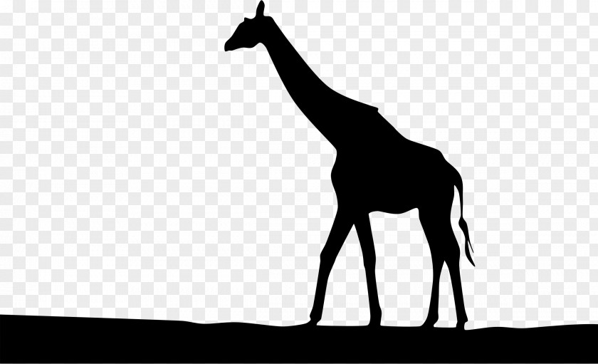 Africa Giraffe Silhouette Clip Art PNG