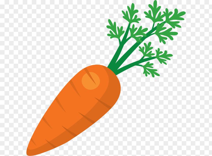 Carrots Juice Fruit Salad Carrot Clip Art PNG