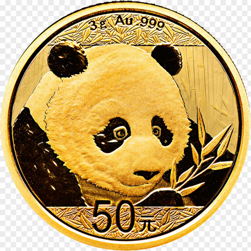 Coin Giant Panda Chinese Gold Bullion PNG