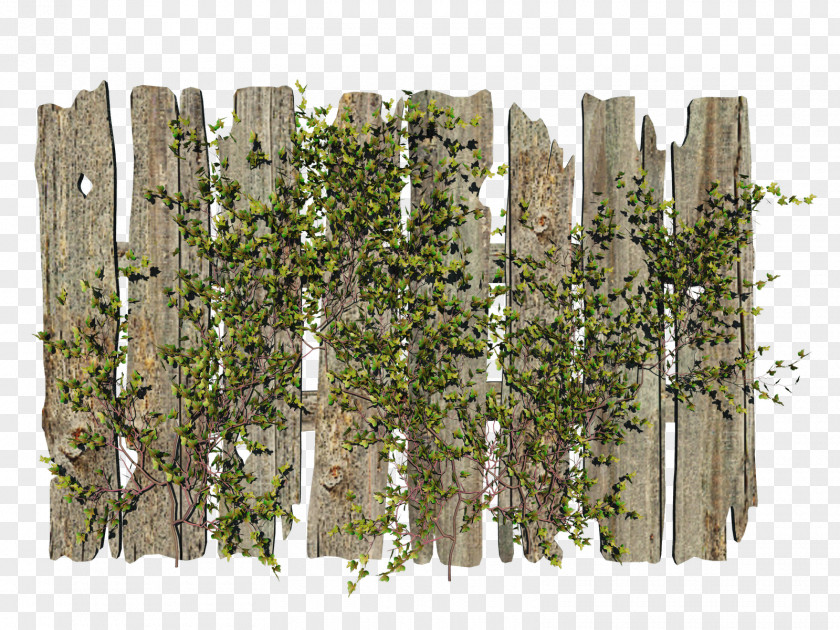 Fence Picket PNG