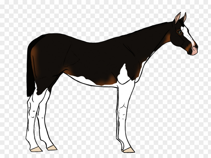 Horse Auction Mule Foal Mustang Mare Stallion PNG
