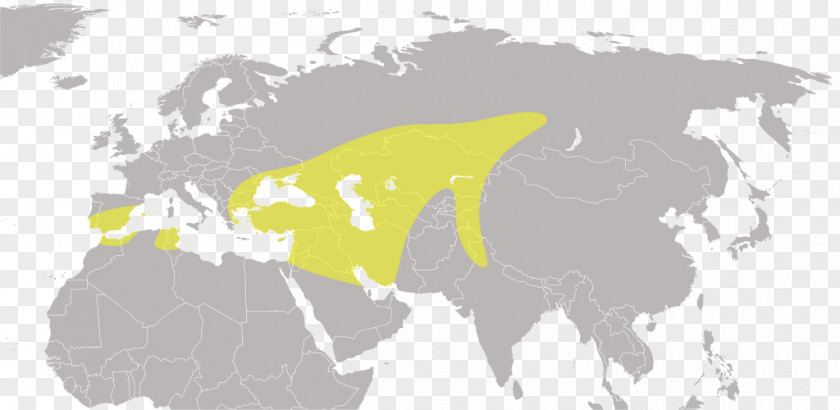 United States Romstal Sediu Central India Economy PNG