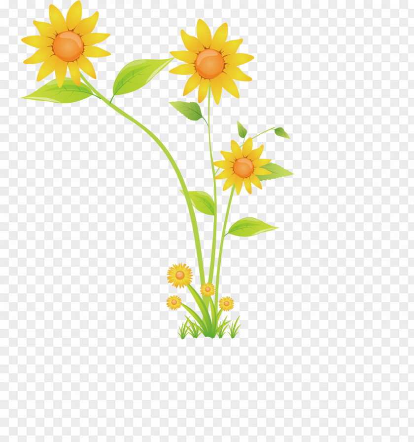 Vector Creative Sunflower Trousers Pattern PNG