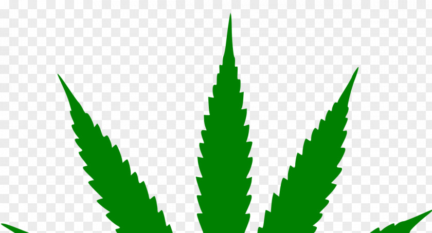 Cannabis Hash, Marihuana & Hemp Museum Medical Joint Sativa PNG