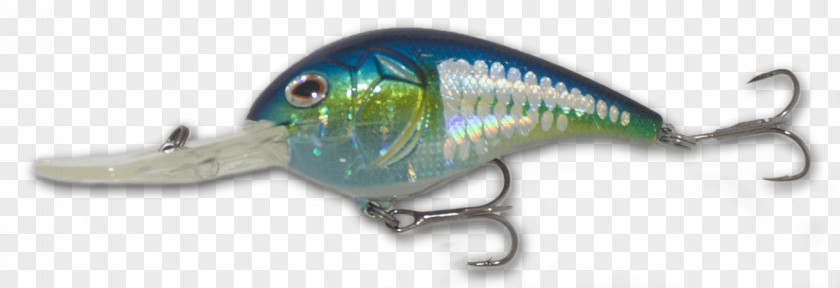 Gizzard American Shad Fish Keyword Tool United States PNG