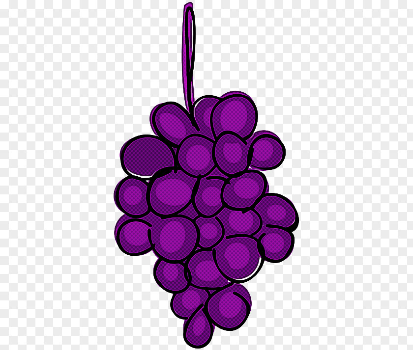 Grape Violet Purple Grapevine Family Vitis PNG