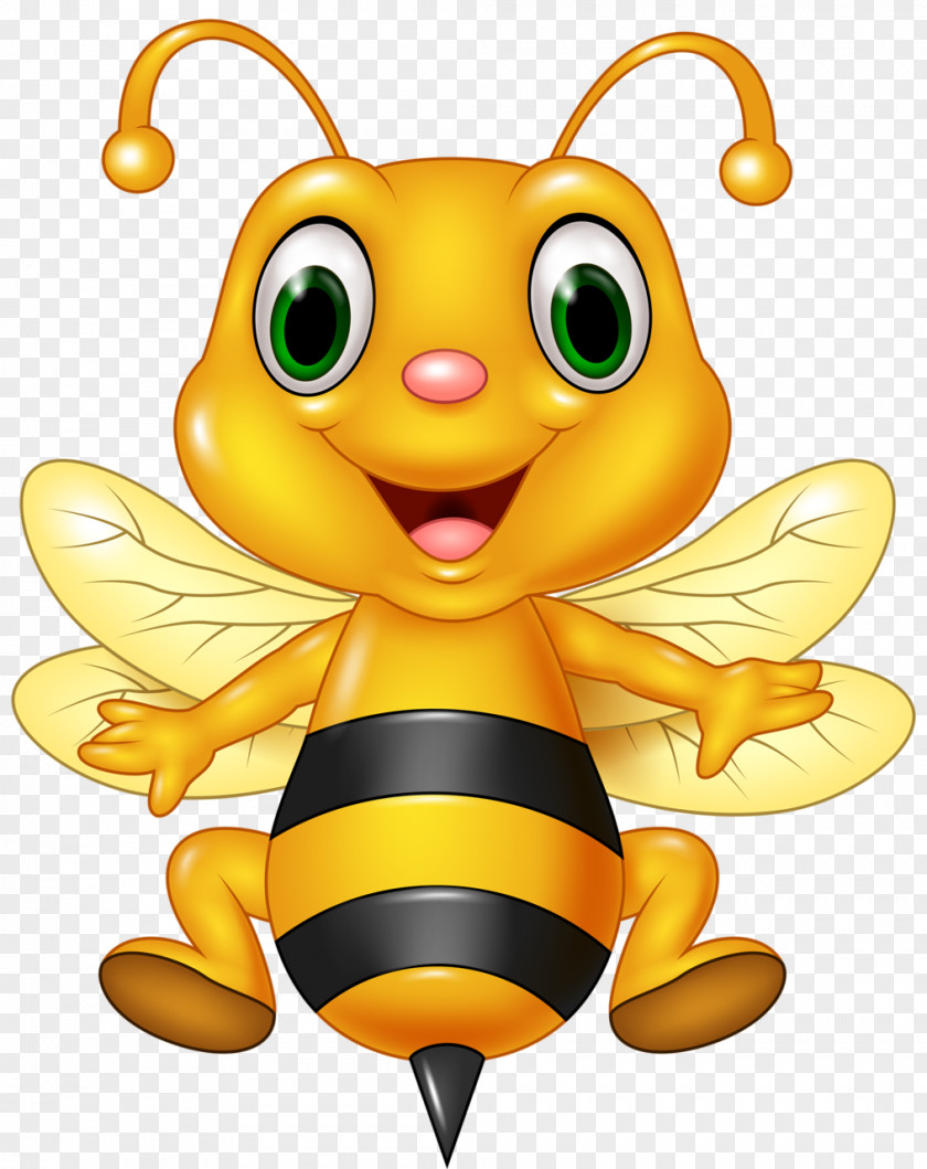 Honey Bee Cartoon PNG