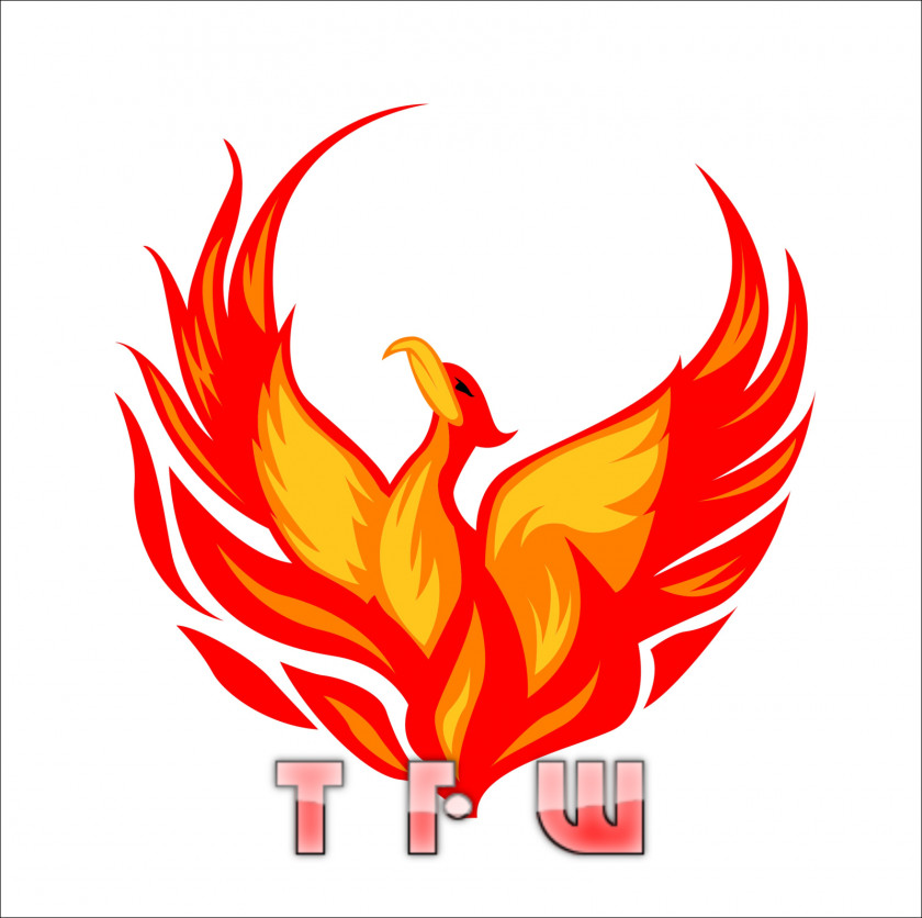 Phoenix Logo Clip Art PNG