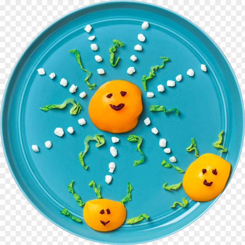 Raisins With Cottage Cheese Smiley Organism PNG