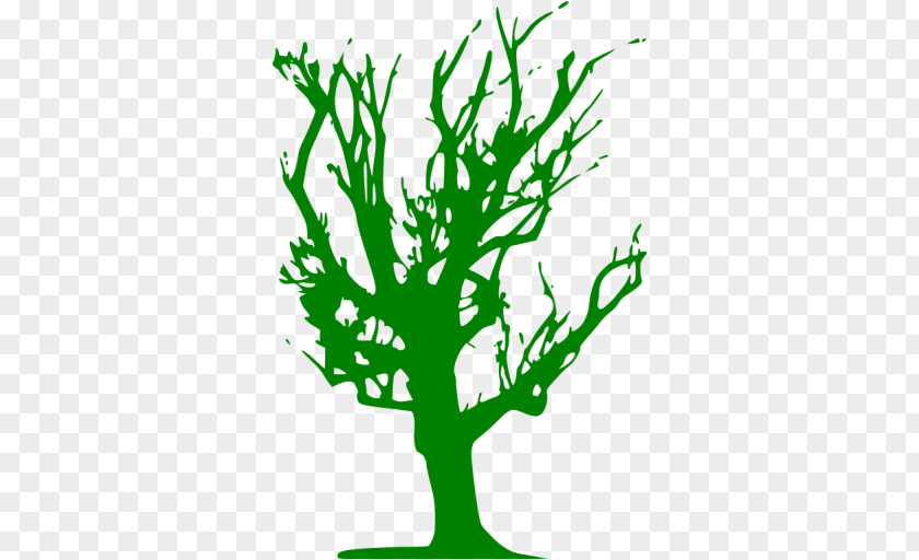 T-shirt Branch Tree Color PNG