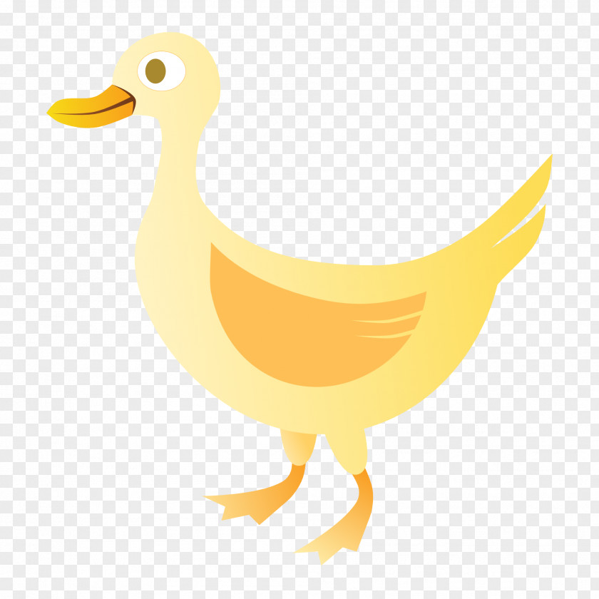Waterfowl Goose Bird Duck Water Beak Ducks, Geese And Swans PNG