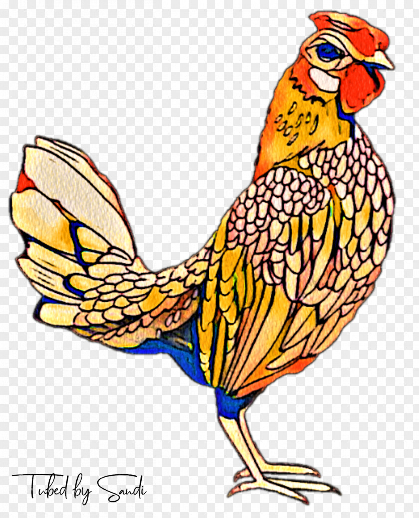 Wing Comb Chicken Cartoon PNG