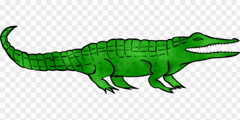 Alligators Crocodile Fauna Dinosaur Character PNG