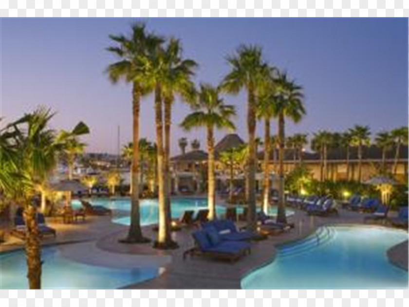 Beach Resort Hyatt Regency Mission Bay Spa And Marina SeaWorld San Diego Belmont Park PNG