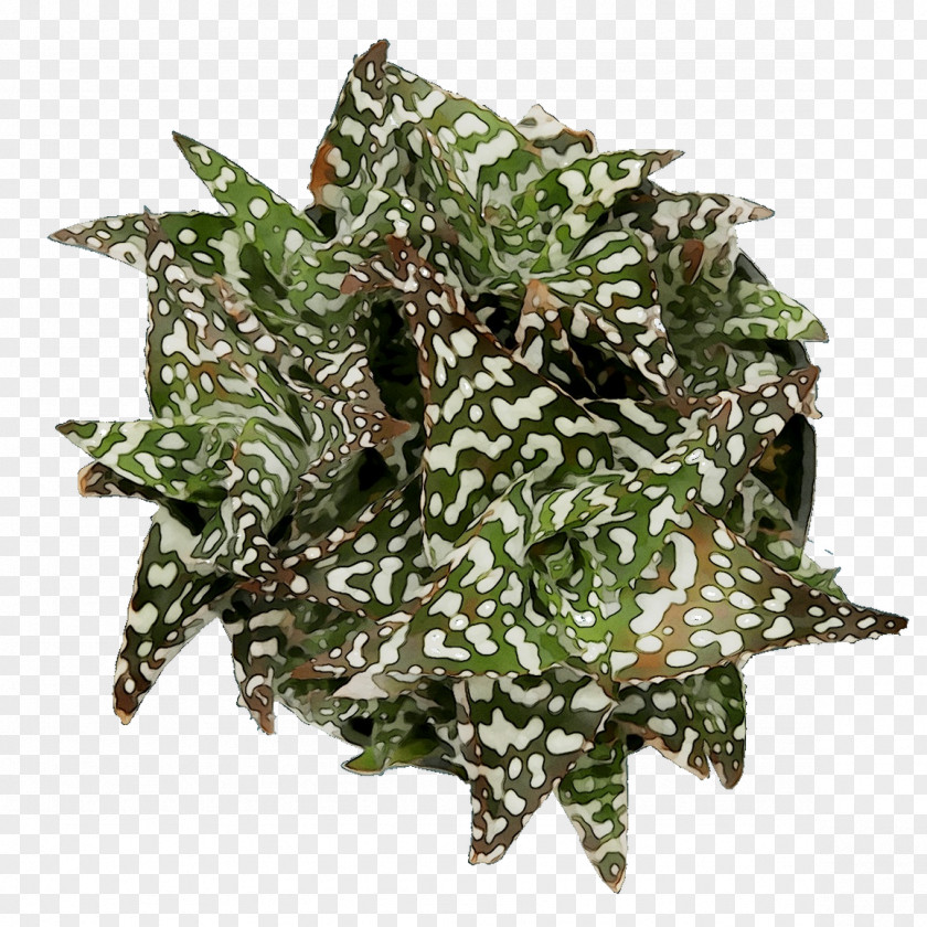 Camouflage M Plants PNG