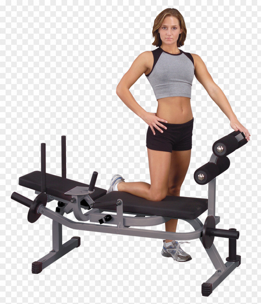 Dumbbell Crunch Bench Abdominal Exercise Rectus Abdominis Muscle Physical PNG