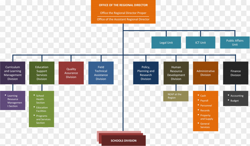 Organization Chart Organizational Structure Department Of Education Division PNG