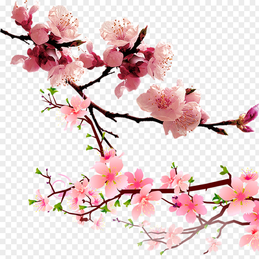 Peach Blossom Material Raster Graphics Computer File PNG