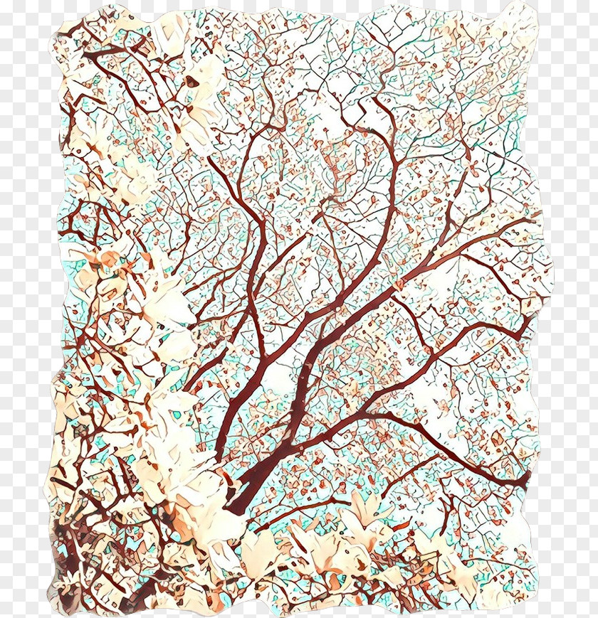 Plant Branch Cherry Blossom Tree Drawing PNG