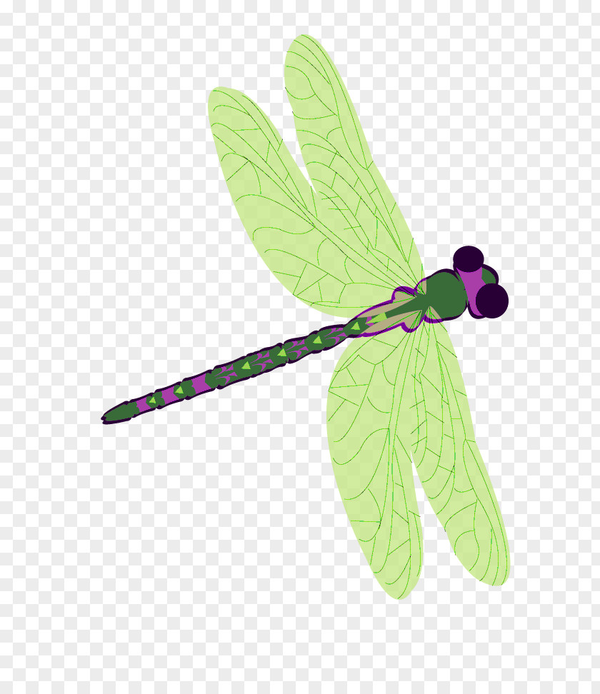 Thank You Green Dragonfly PNG