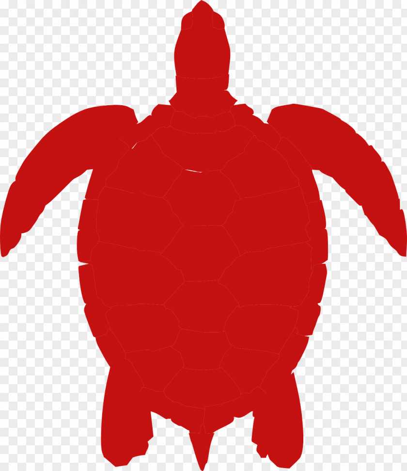 Turtle Green Sea Clip Art PNG