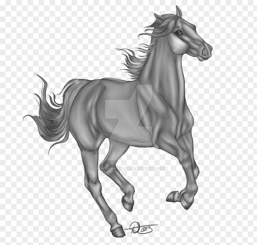 Blackandwhite Liver Horse Cartoon PNG