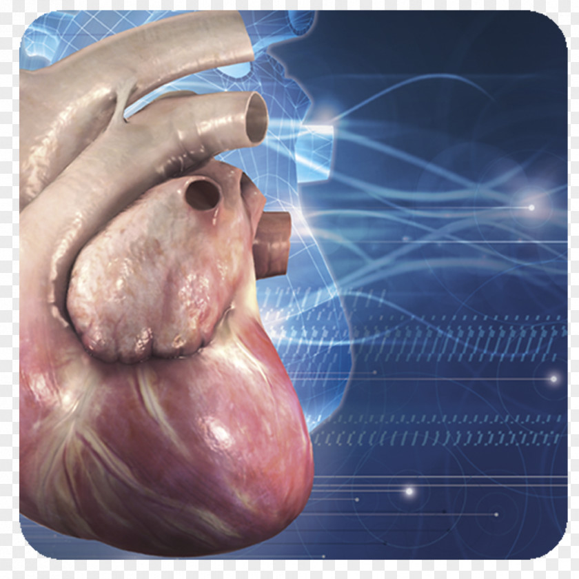 Cardiology Google Play Disease Diagnose PNG