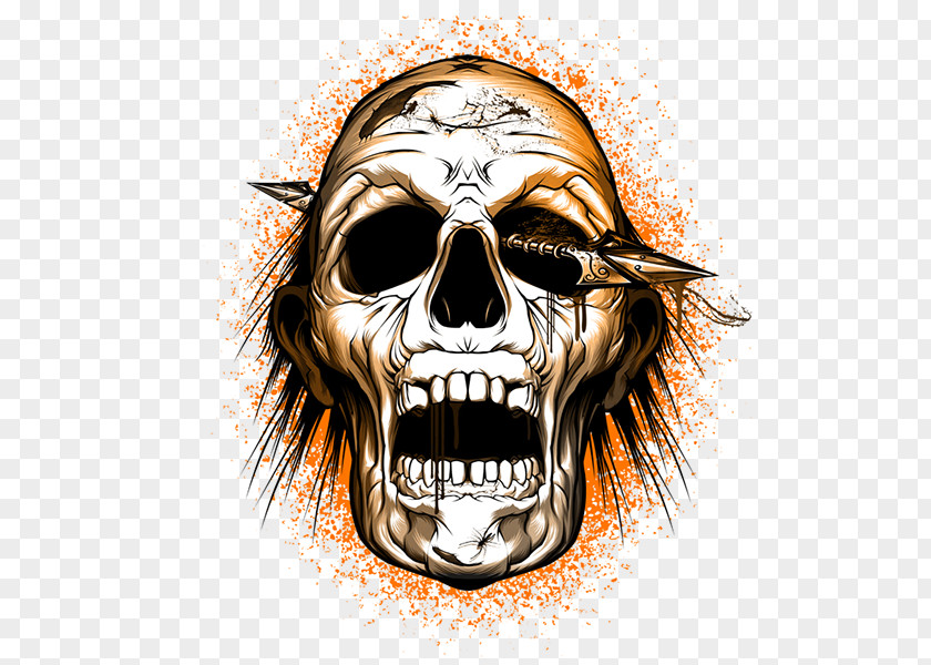 Skull Human Symbolism Information PNG
