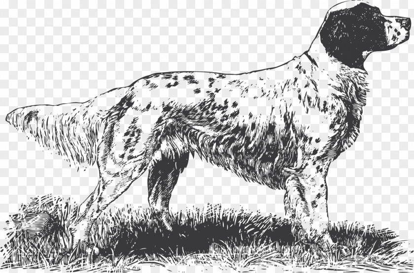 Spotted Dog Carved English Setter Drentse Patrijshond Old Danish Pointer Brittany Springer Spaniel PNG