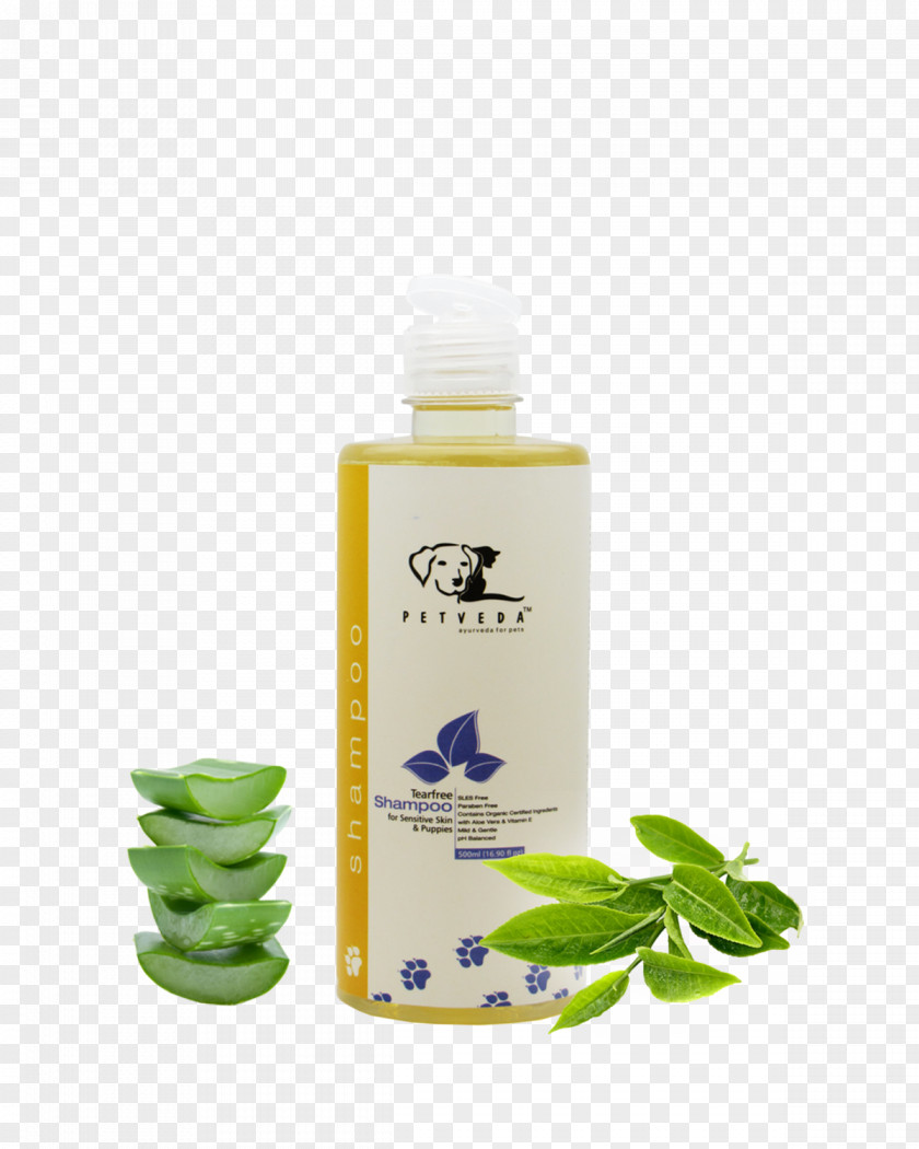 Tea Tree Lotion Shampoo Hair Conditioner Petveda Oil PNG