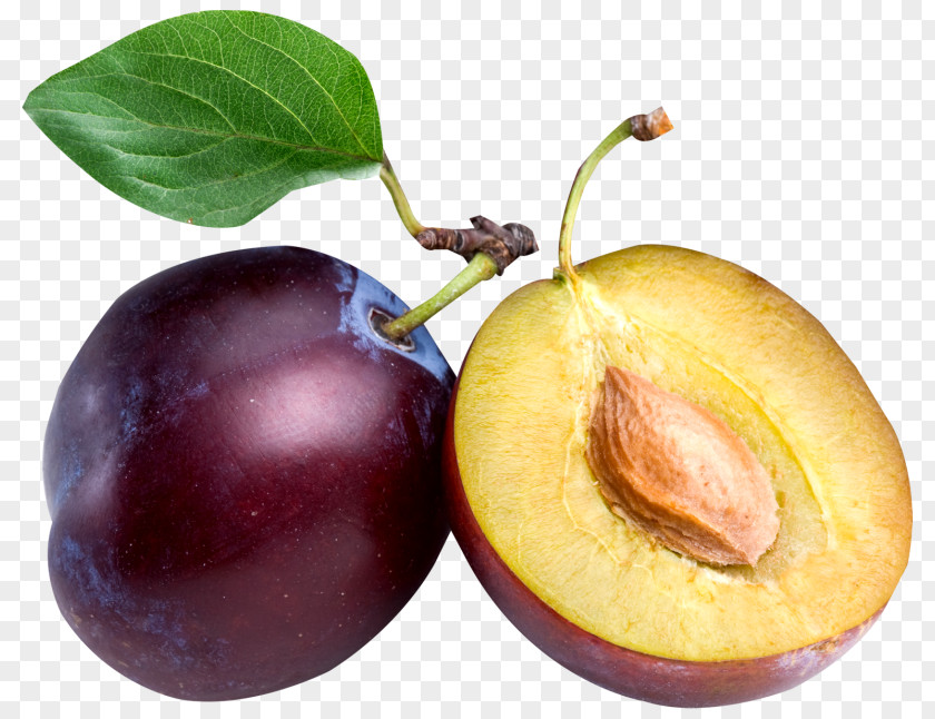 Cliparts Plums Fields Juice Common Plum Prune Dried Fruit PNG