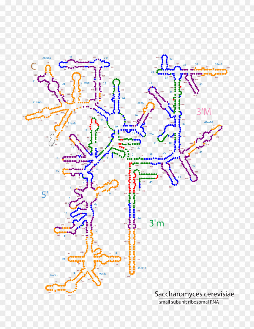 Line Point Tree Clip Art PNG