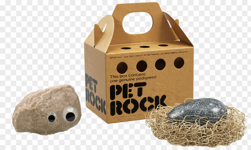 Box Packaging And Labeling How Weird Street Faire Pet Rock PNG