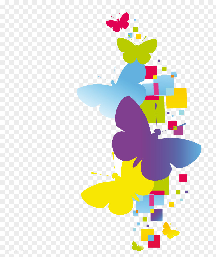 Butterfly Color Abstract Art Euclidean Vector PNG