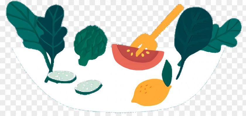 Vegetarian Food Usmle Step 1 Home Cartoon PNG