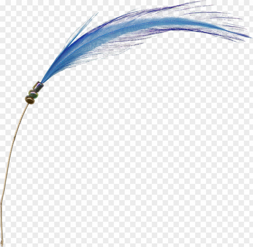 Blue Feather PNG