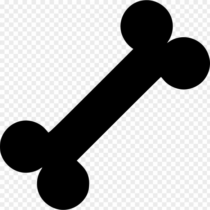 Dog Bone PNG